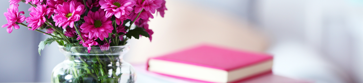 image of pink flowers in a pot